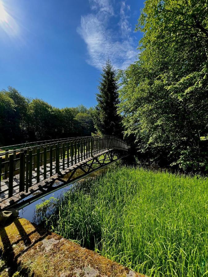 Domek W Glebi Lasu Nad Stawem Wierszyno Екстер'єр фото
