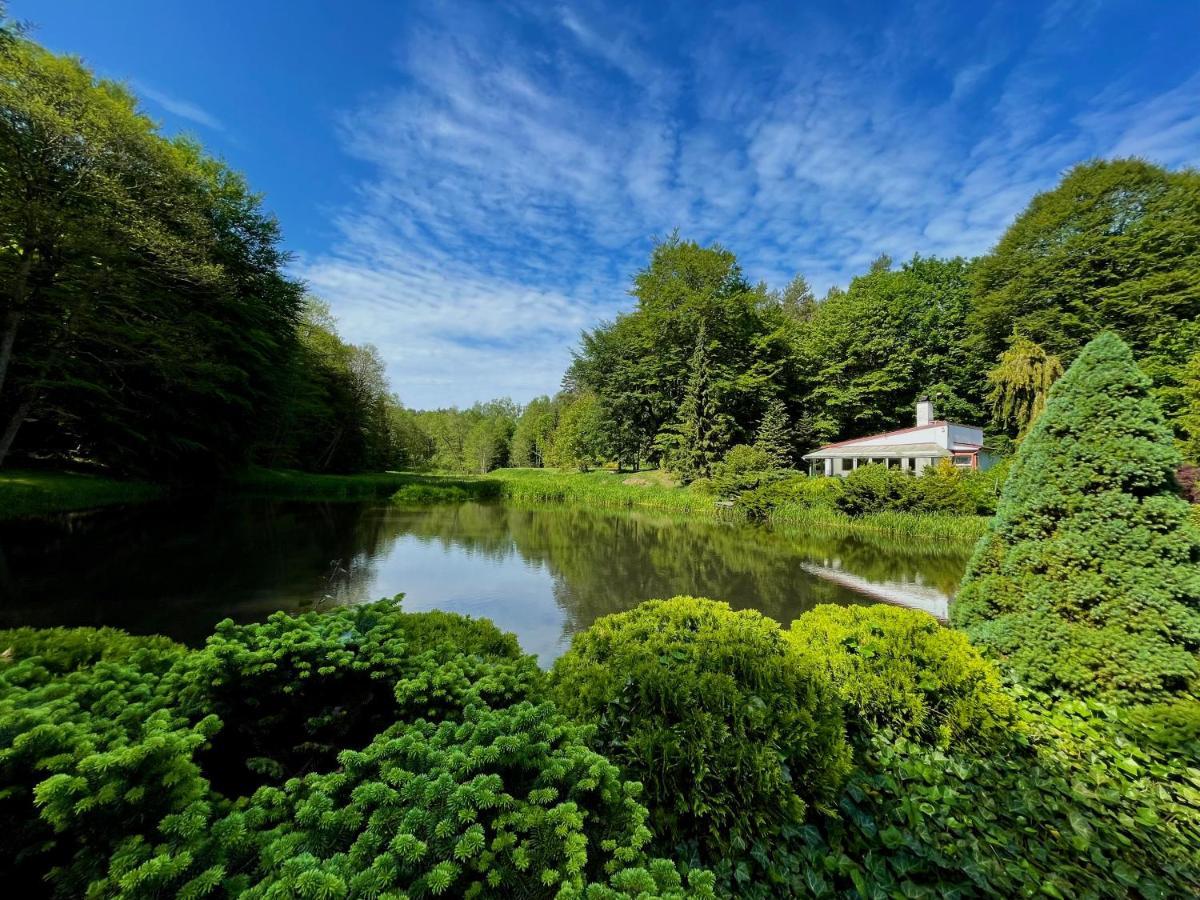 Domek W Glebi Lasu Nad Stawem Wierszyno Екстер'єр фото