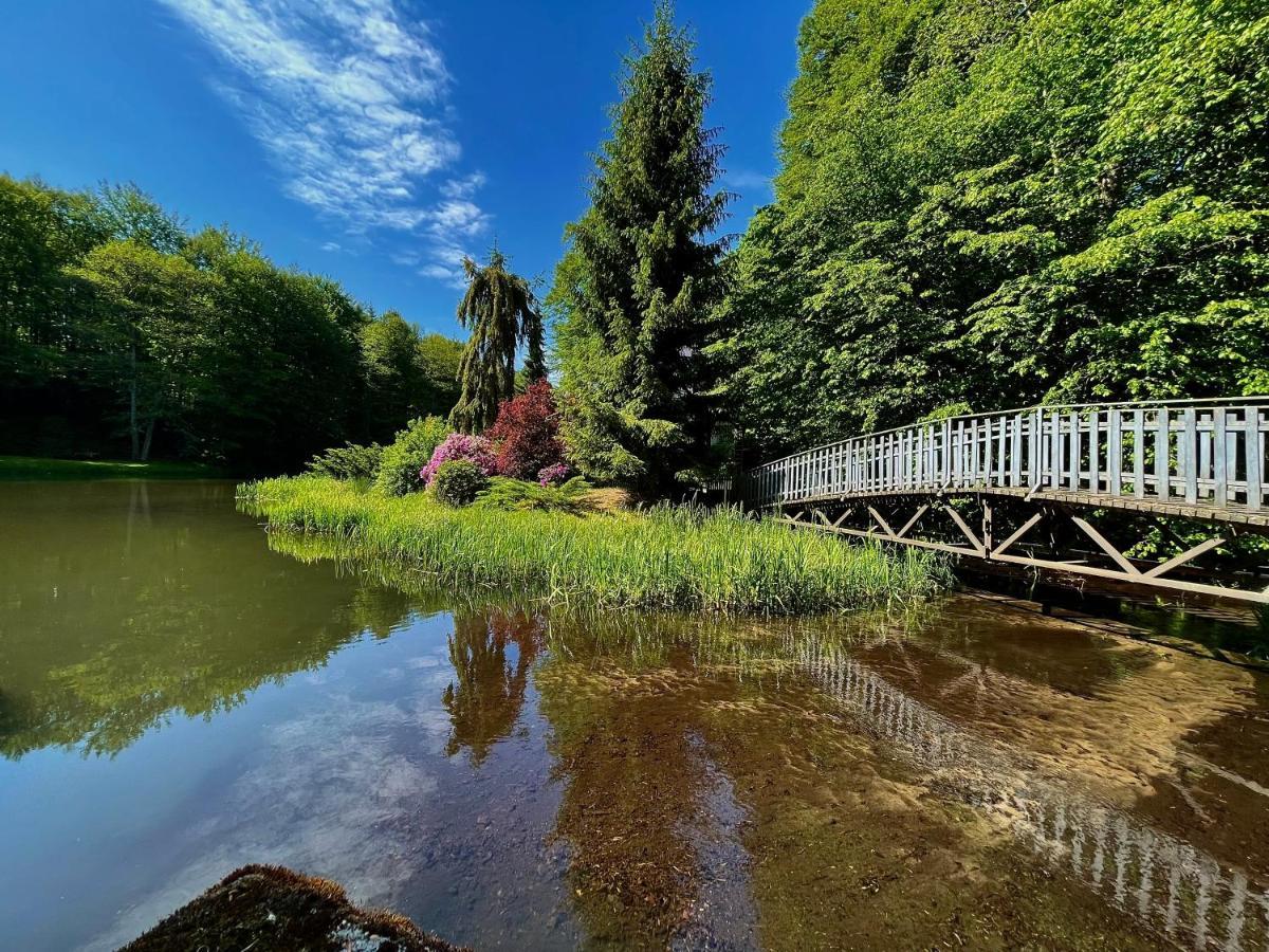 Domek W Glebi Lasu Nad Stawem Wierszyno Екстер'єр фото
